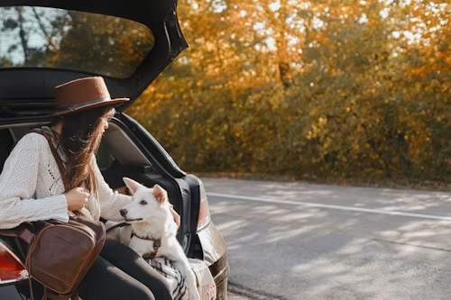 Going Car-Free This September 22? Here's How to Carry Your MacBook Through Fall Without a Scratch